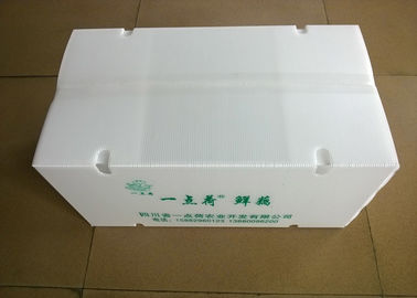 Cajas plásticas plegables con los agujeros de circulación del aire para transportar verduras
