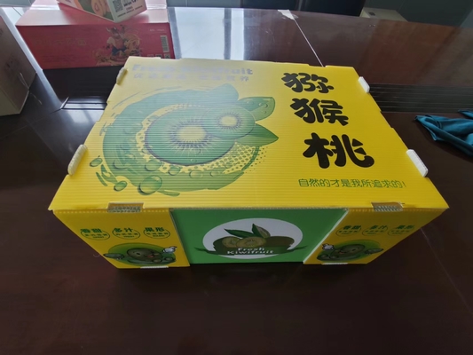 Caja de fruta de plástico reutilizable con capacidad personalizada y ventilación con impresión a color