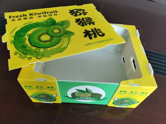 Caja de fruta de plástico reutilizable con capacidad personalizada y ventilación con impresión a color